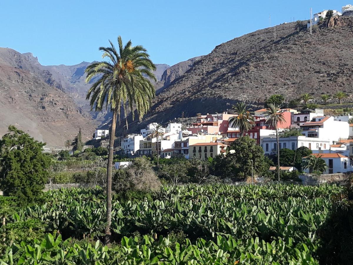 Los Olivos Playa de Santiago  Exterior foto