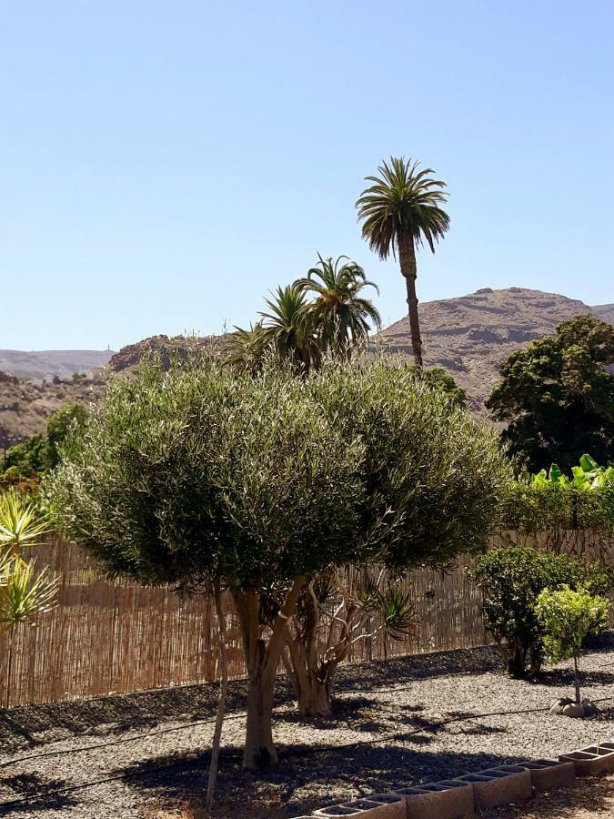 Los Olivos Playa de Santiago  Exterior foto